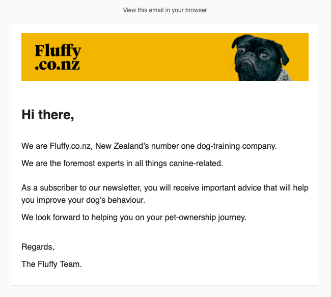 fluffy.co.nz email example of bad copywriting