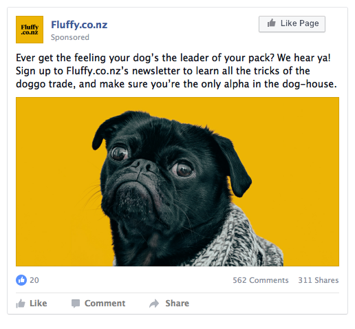 funny pug dog on orange background in facebook post example of consistent copy